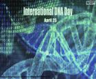 Uluslararası DNA Günü